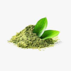 Mint Herbal Infusion