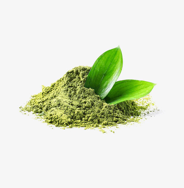 Mint Herbal Infusion